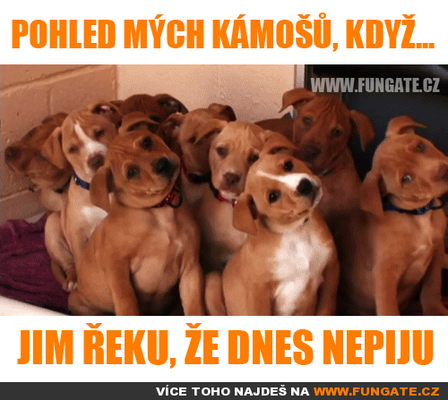  Pohled mých kámošů, když 