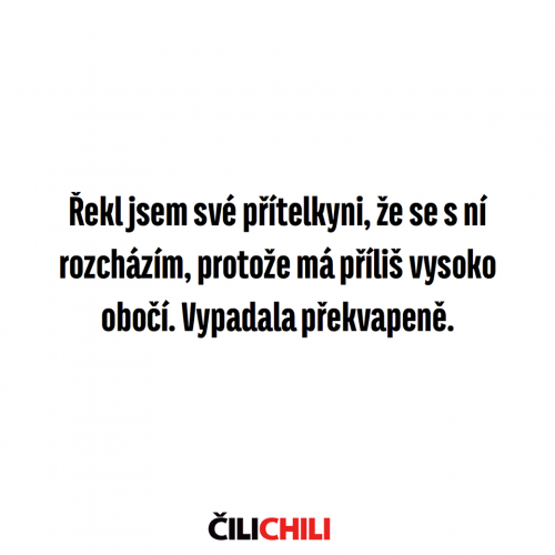  Přítelkyně 