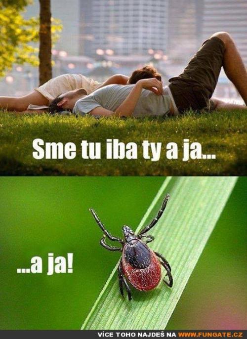  Jsme tu jenom ty a já 