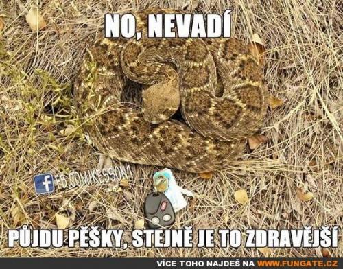 No, nevadí