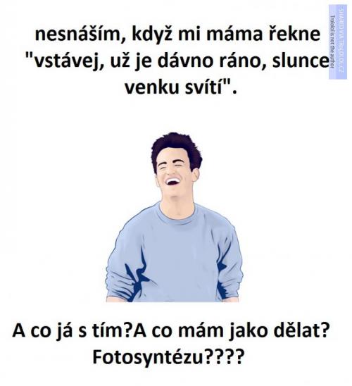  Vstávání 