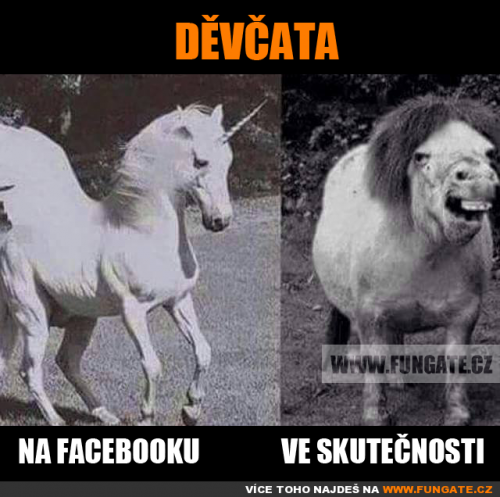  Děvčata 