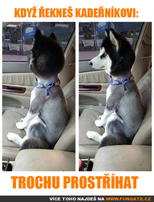 Když řekneš kadeřníkovi