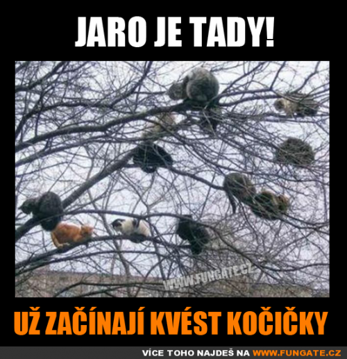  Jaro je tady! 