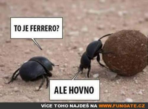 To je Ferrero