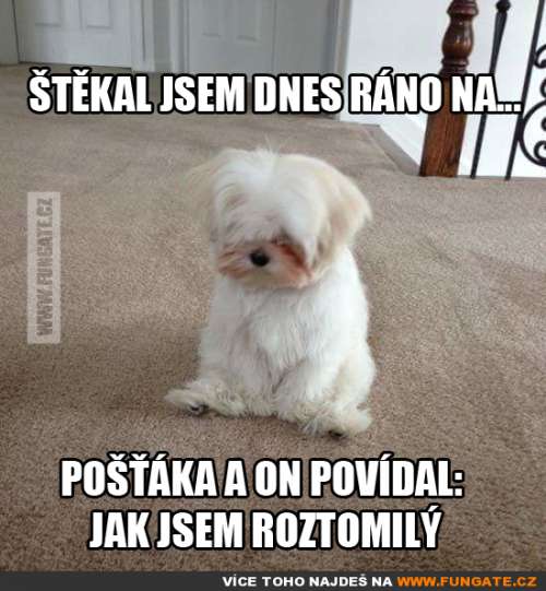  Štěkal jsem dnes ráno na 