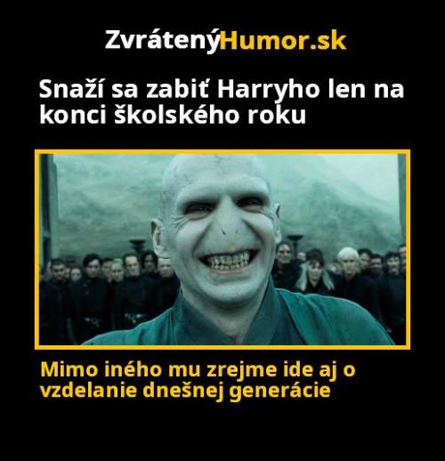  Voldemort 