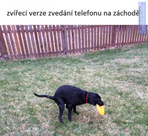  Záchod 