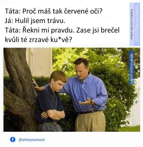  Oči 