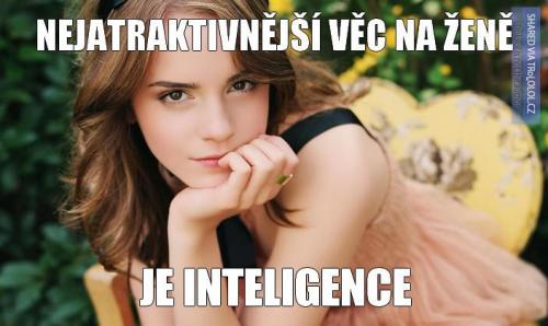  Inteligence 