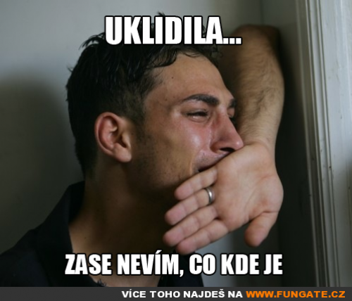 Uklidila