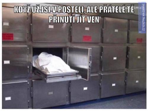  Postel 