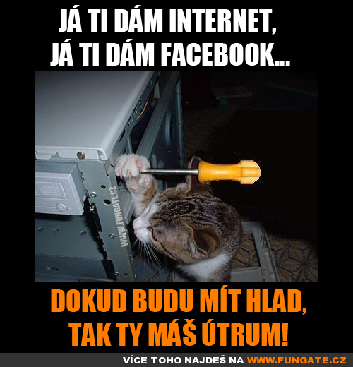  Já ti dám internet, 