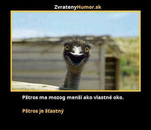 Pšstros