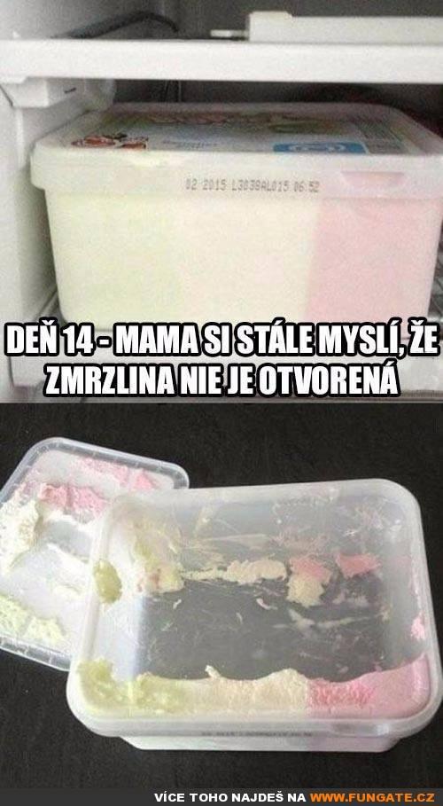  Den 14 - máma si stále myslí, že 