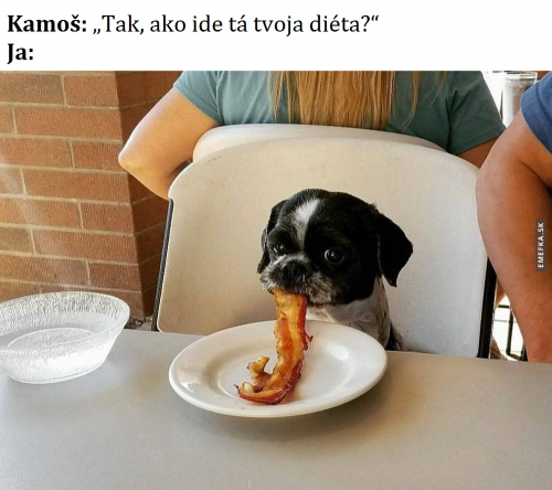  Jak jde dieta? 