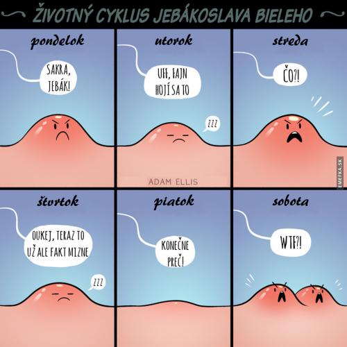  Životní cyklus Jebákoslava Bieleho 