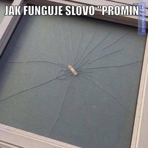 Promiň