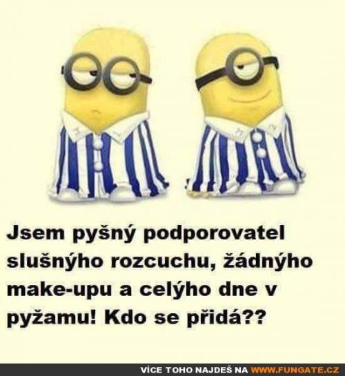  Jsem pyšný podporovatel slušnýho rozcuchu 