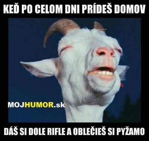 Pyžamoo