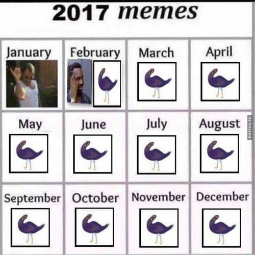  Memes 2017 