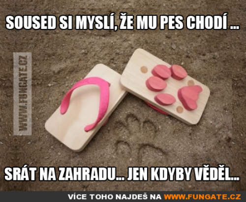  Soused si myslí, že mu pes chodí 