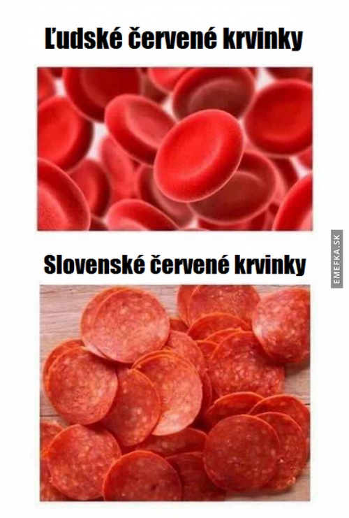 Krvinky