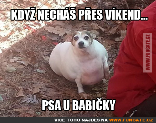  Když necháš přes víkend 