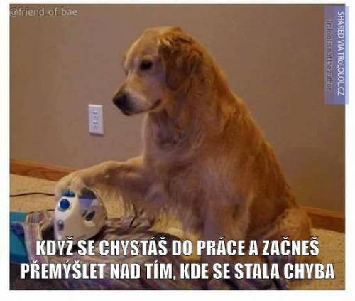  Práce 