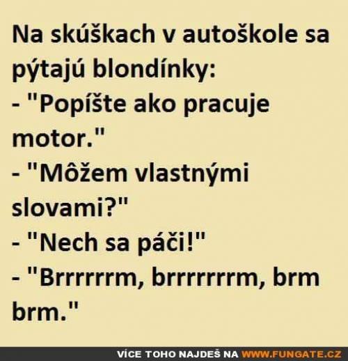  Na zkouškách v autoškole se ptají blondýnky 