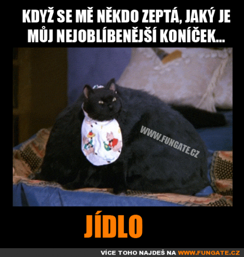  Když se mě někdo zeptá, jaký je můj nejoblíbenější 