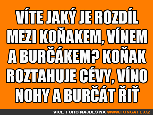  Víte jaký je rozdíl mezi koňakem, 