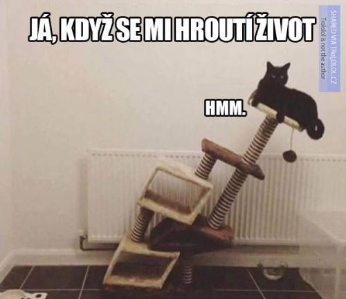  Život 