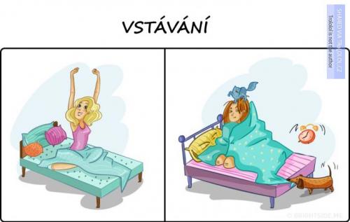  Vstávání 