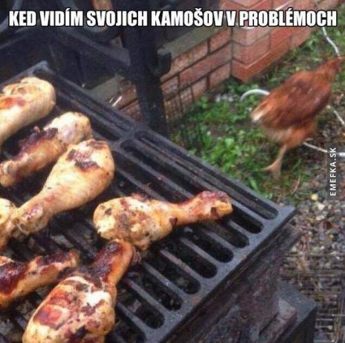  Kámoši 