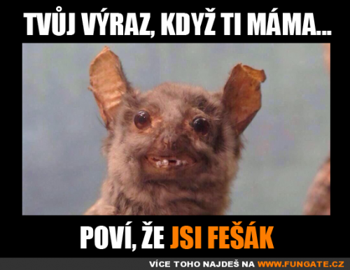  Tvůj výraz, když ti máma poví… 