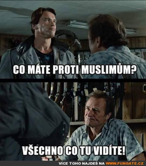  Co máte proti muslimům 