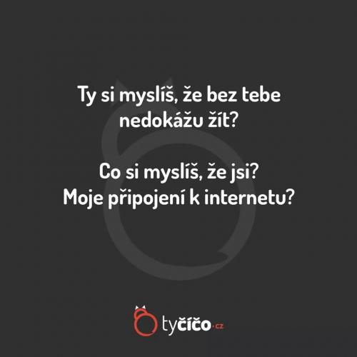  Internet 