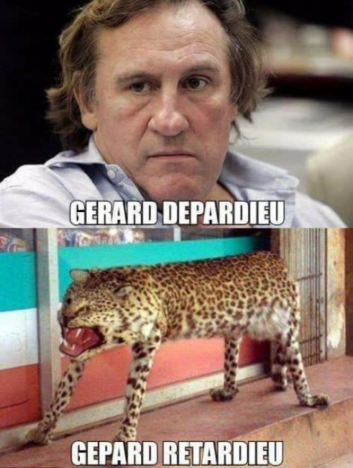  Gerard a gepard 