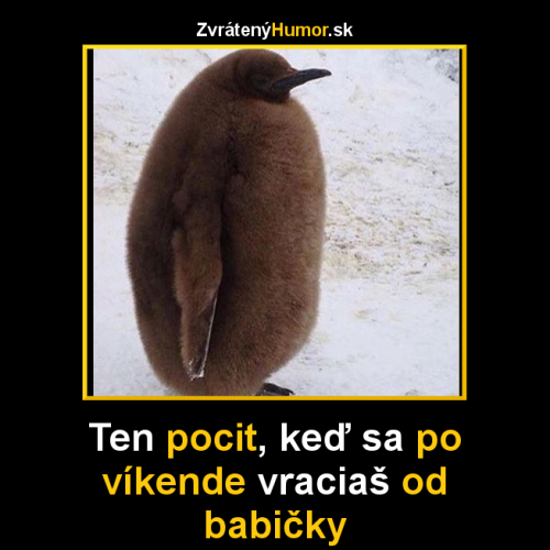  Po víkendu u babičky 