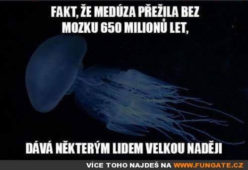  Fakt, že medúza přežila bez 