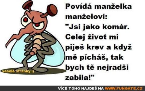  Povídá manželka manželovi 