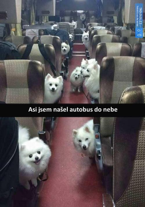  Autobus 