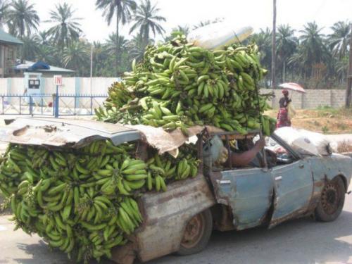  Přeprava banánů 