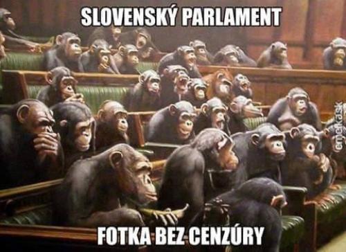  Parlament 