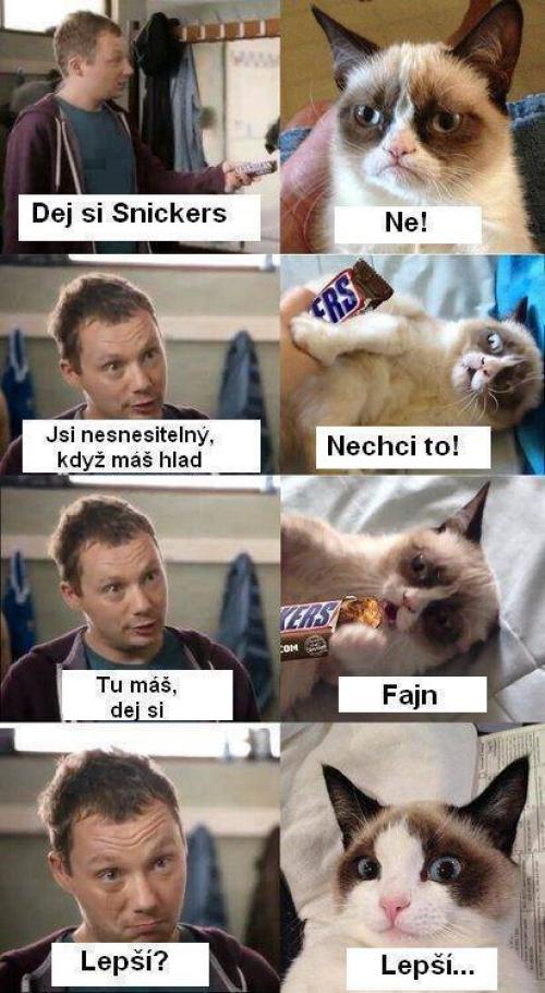  Snickers 