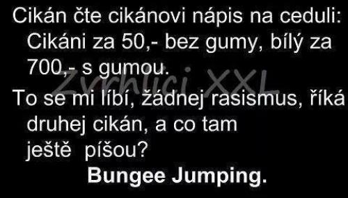  Bungee Jumping 
