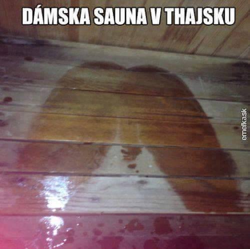  Sauna 