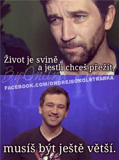  Život je svině 