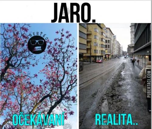 Jaro